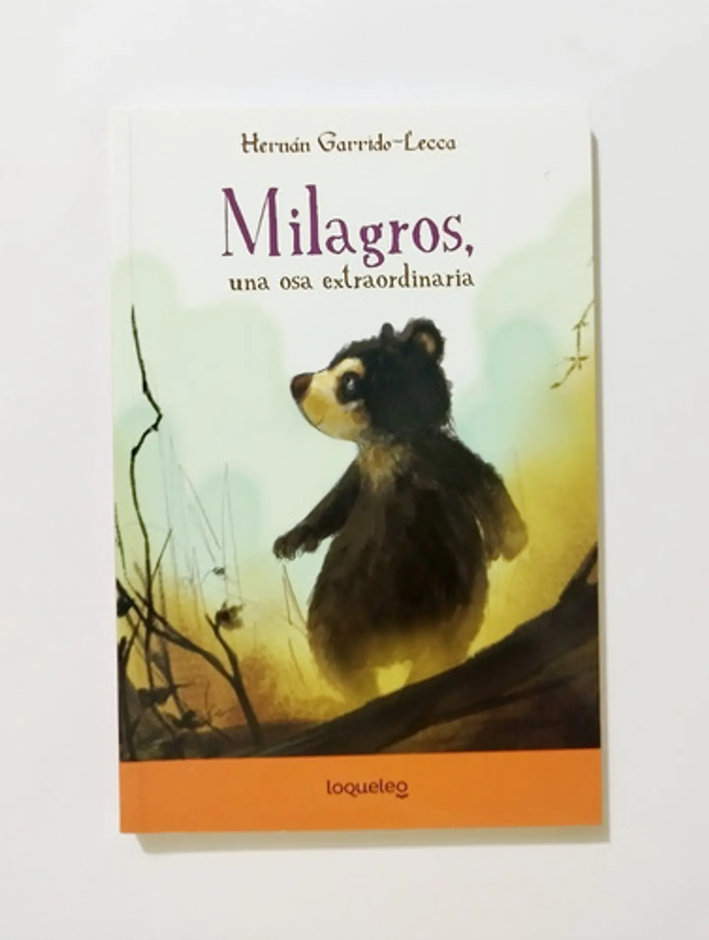 Gros, Una Osa Extraordinaria, De Hernán Garrido-lecca. Editorial Santillana, Tapa Blanda En Español 1