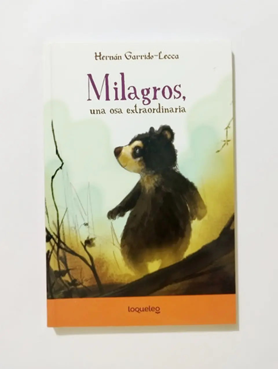 Gros, Una Osa Extraordinaria, De Hernán Garrido-lecca. Editorial Santillana, Tapa Blanda En Español 1