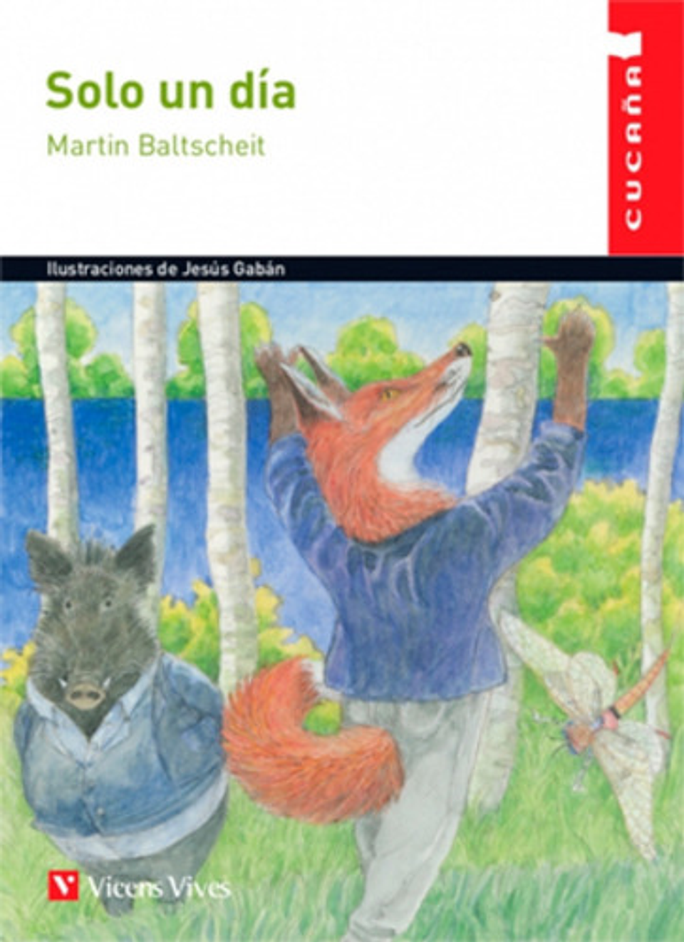 Solo Un Día - Cucaña, Baltschteit, Vicens Vives, 2017 1