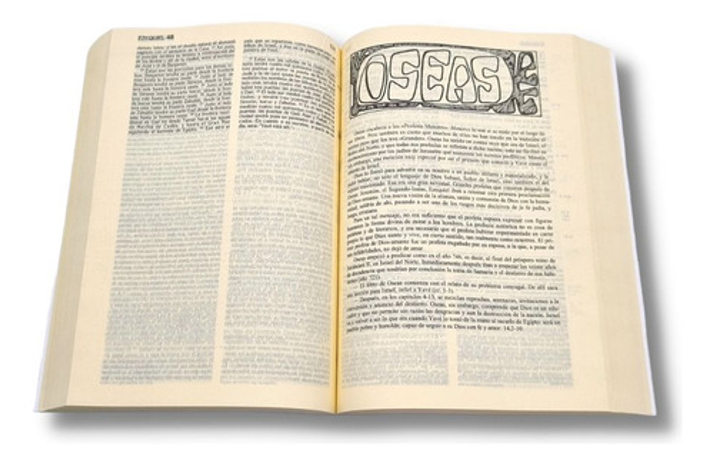 La Biblia Latinoamericana Edición Pastoral 2