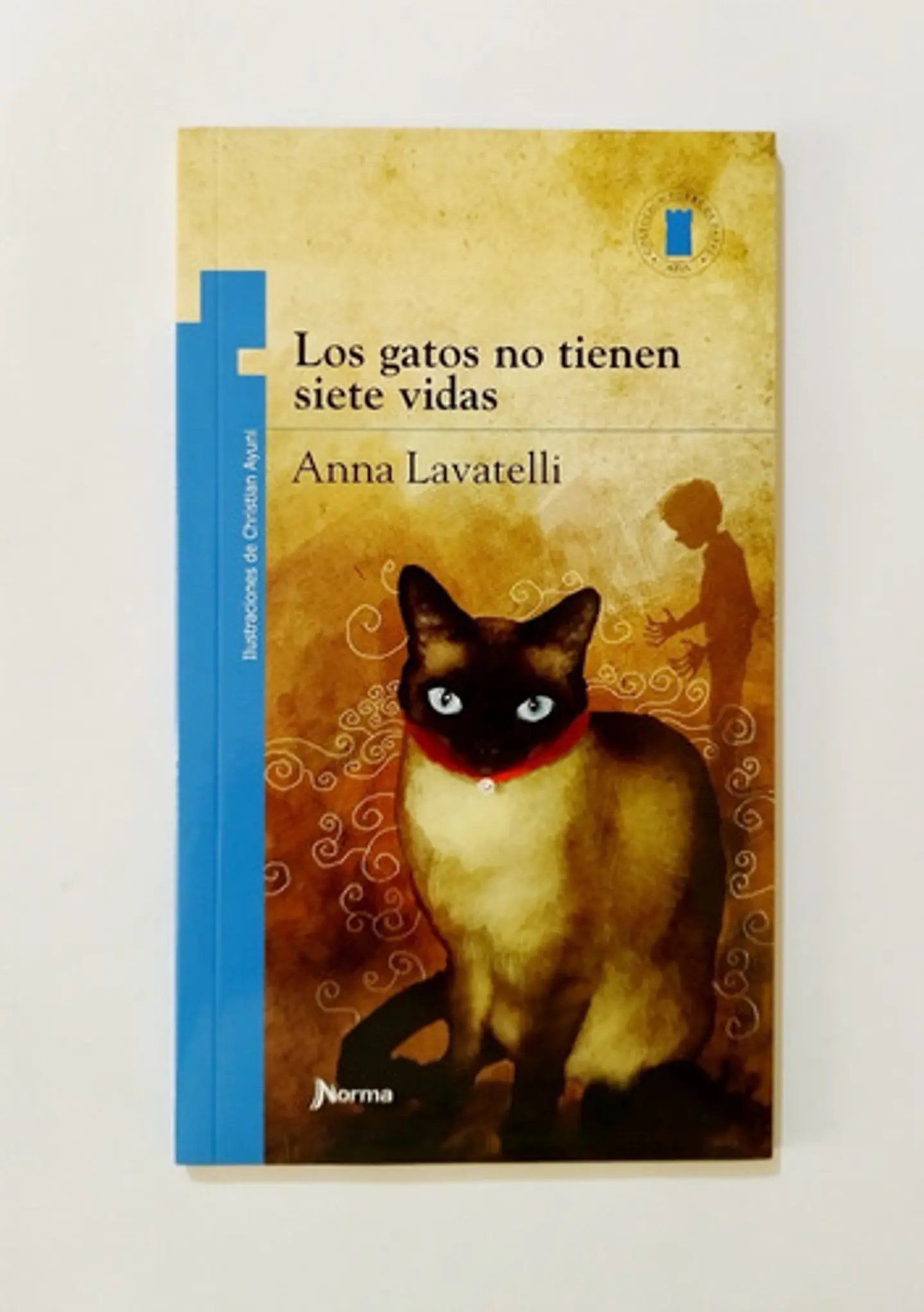 Los Gatos No Tienen Siete Vidas - Anna Lavatelli 1