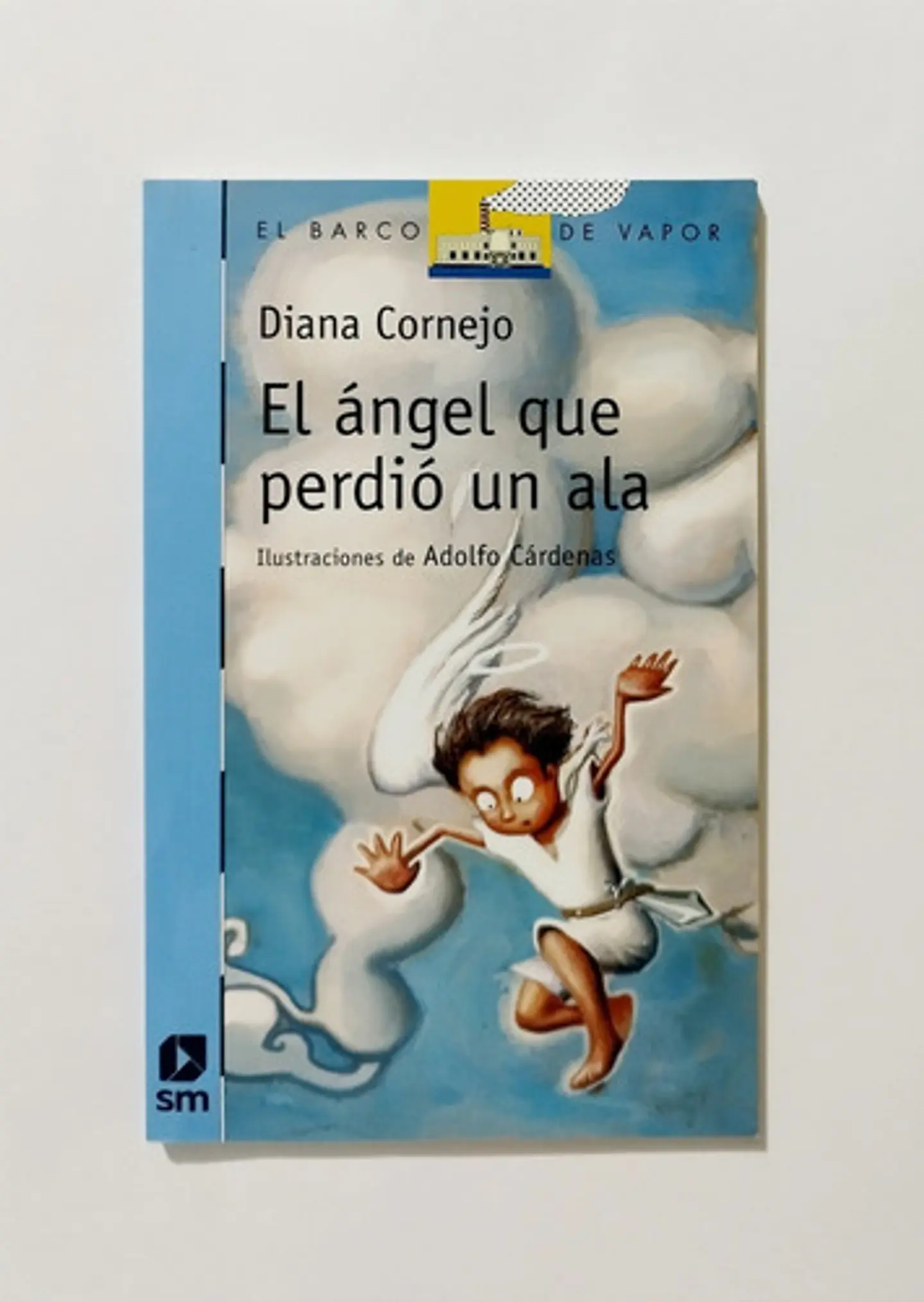 El Ángel Que Perdió Un Ala - Diana Cornejo 1