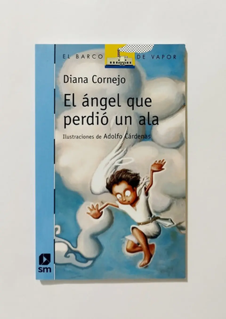 El Ángel Que Perdió Un Ala - Diana Cornejo 1