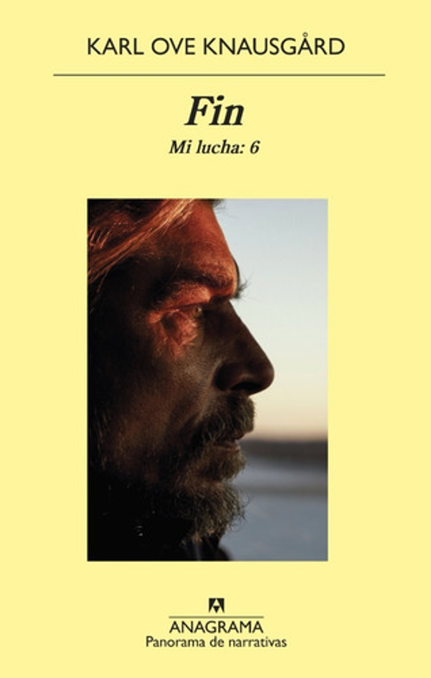 Fin (mi Lucha Vol. 6) - Karl Ove Knausgård  1