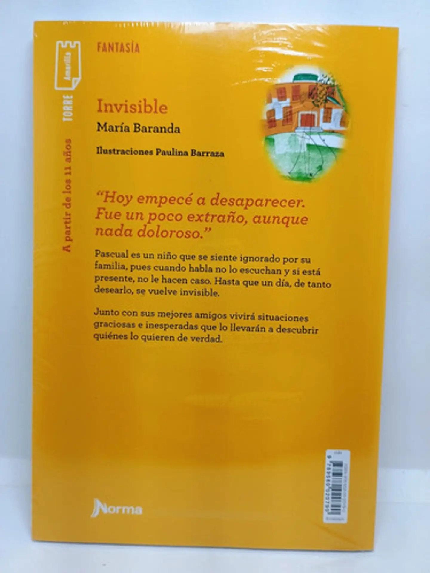 Invisible - María Baranda 2