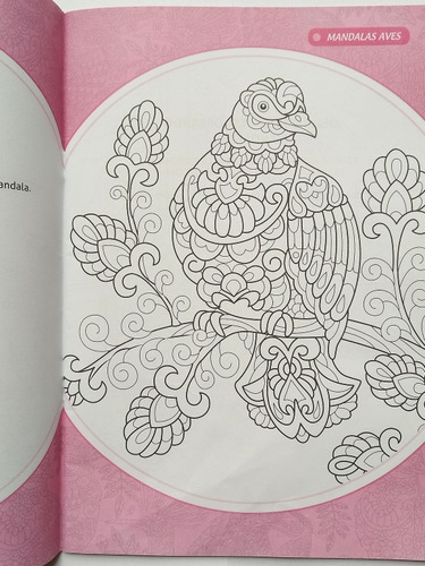 Mandalas Para Colorear Aves 2