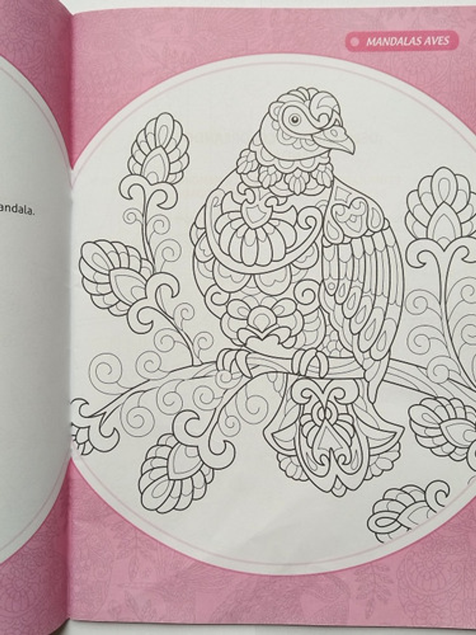 Mandalas Para Colorear Aves 2