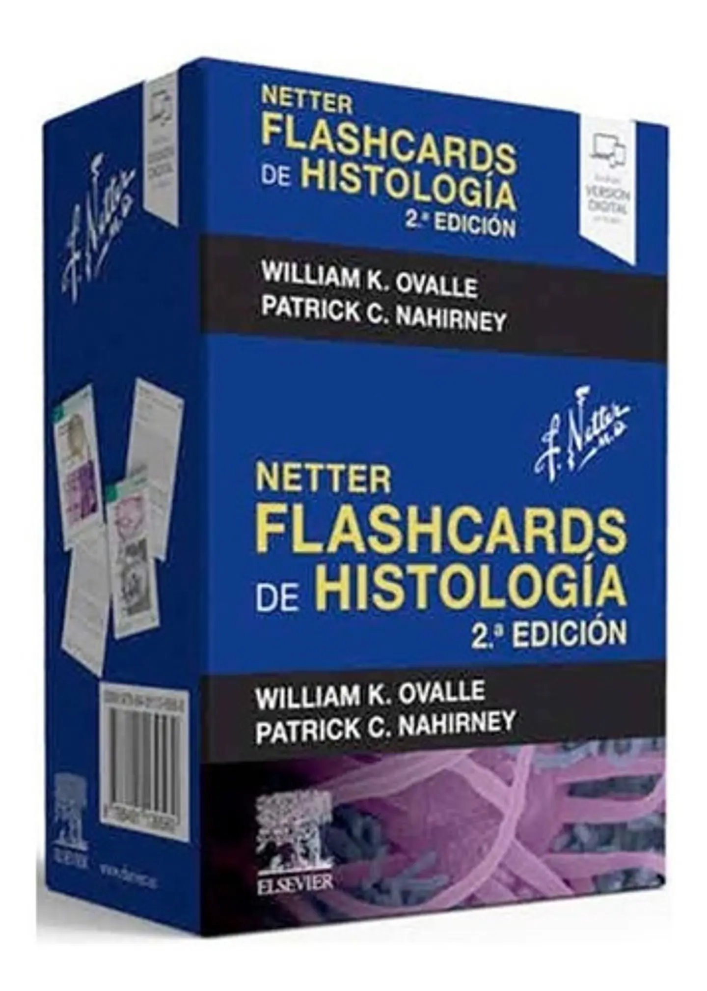 Netter. Flashcards De Histología (2.ª Ed)  1