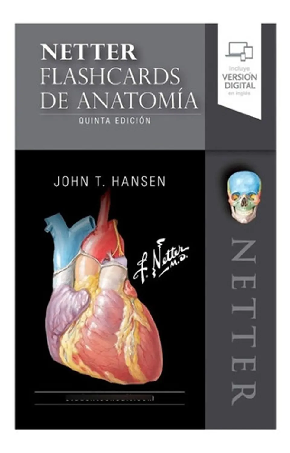 Netter. Flashcards De Anatomía 5 Edición  1
