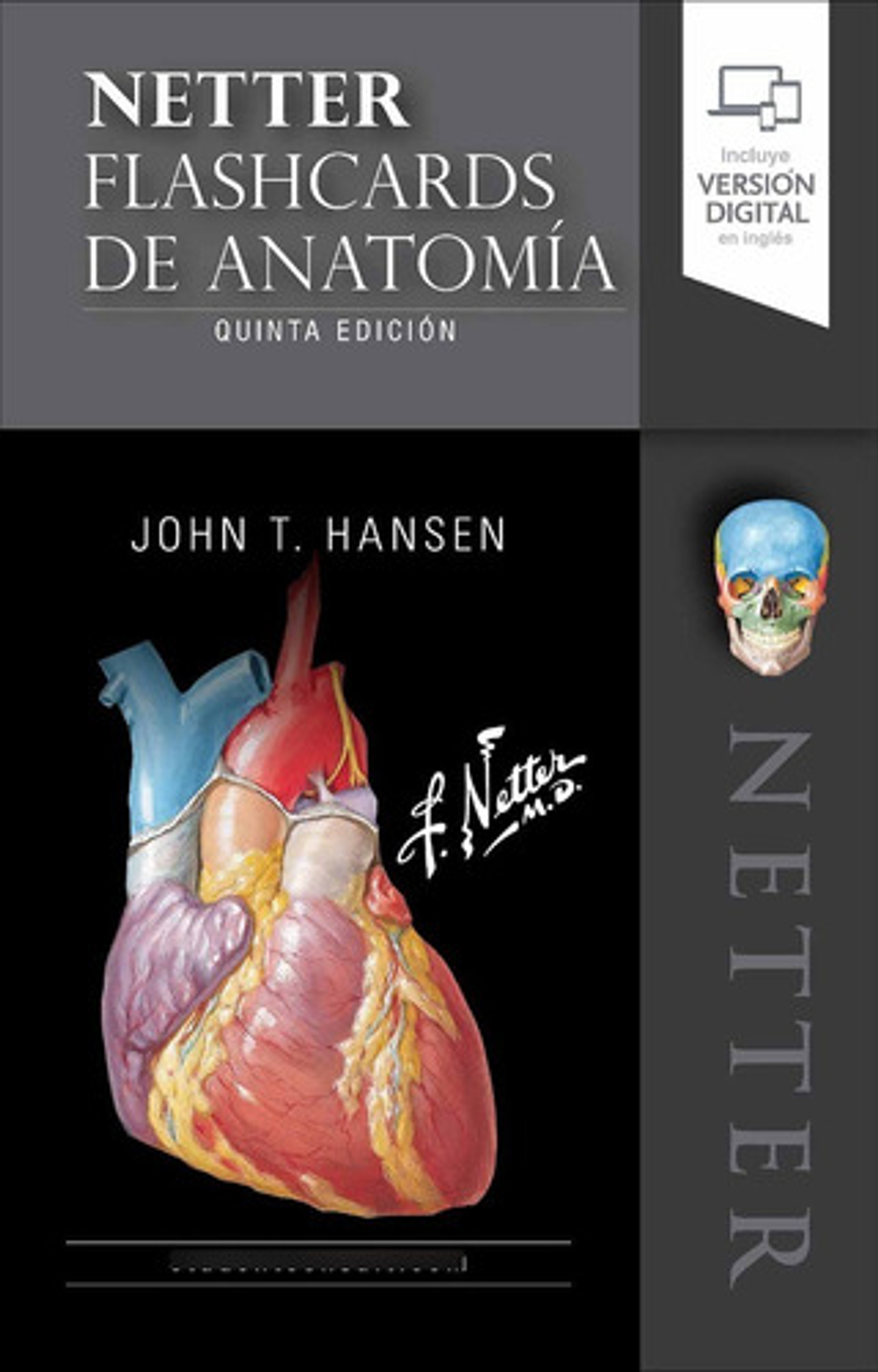 Netter. Flashcards De Anatomía 5 Edición  1
