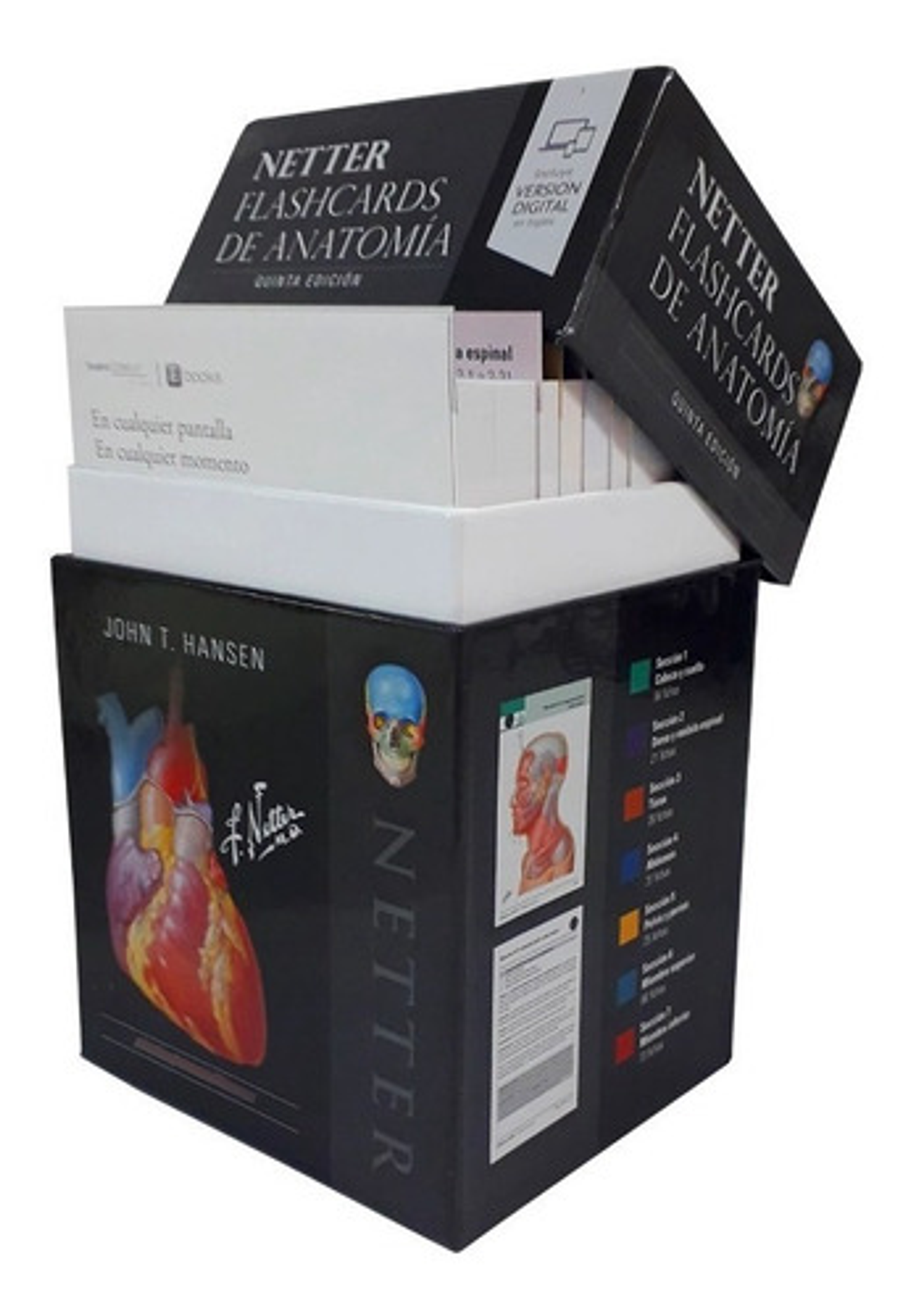 Netter. Flashcards De Anatomía 5 Edición  2