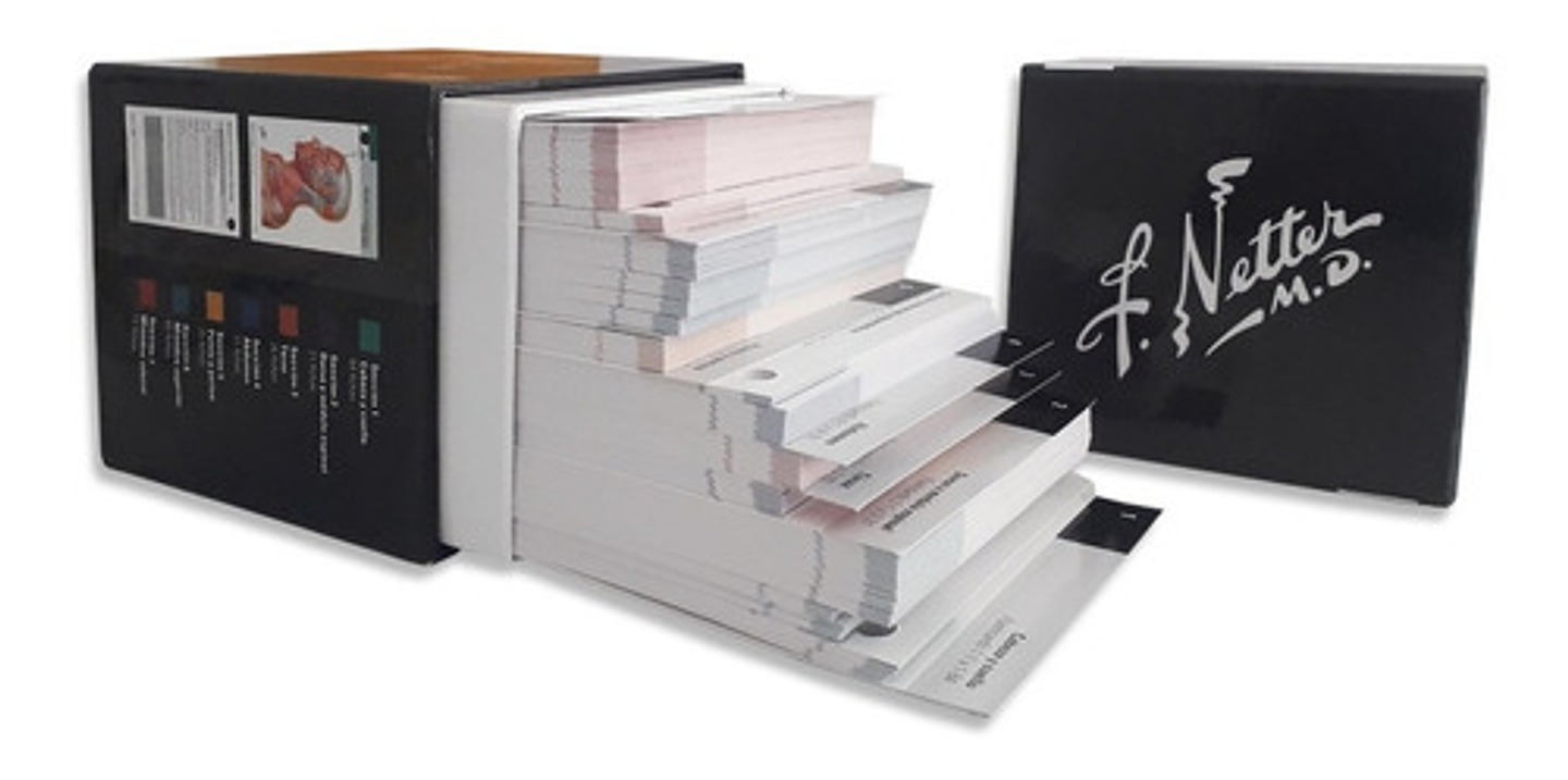 Netter. Flashcards De Anatomía 5 Edición  3