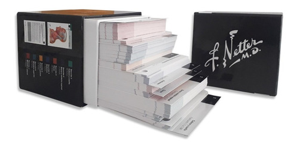 Netter. Flashcards De Anatomía 5 Edición  3