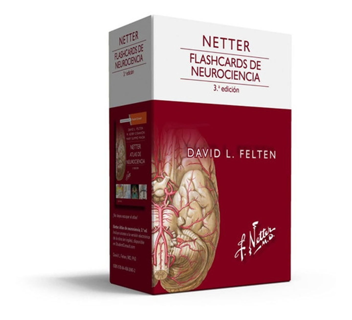 Netter. Flashcards De Neurociencia 3° Ed. (nuevo/original) 1