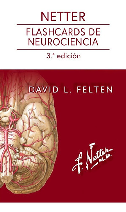 Netter. Flashcards De Neurociencia 3° Ed. (nuevo/original)