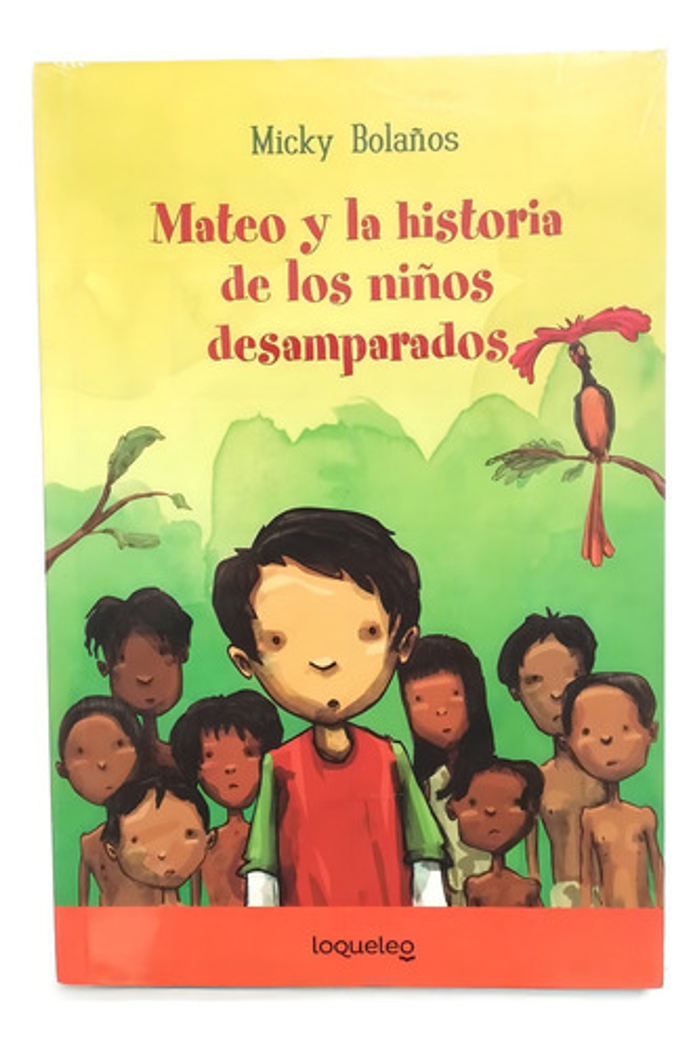 Mateo Y La Historia De Los Niños Desamparados -micky Bolaños 1