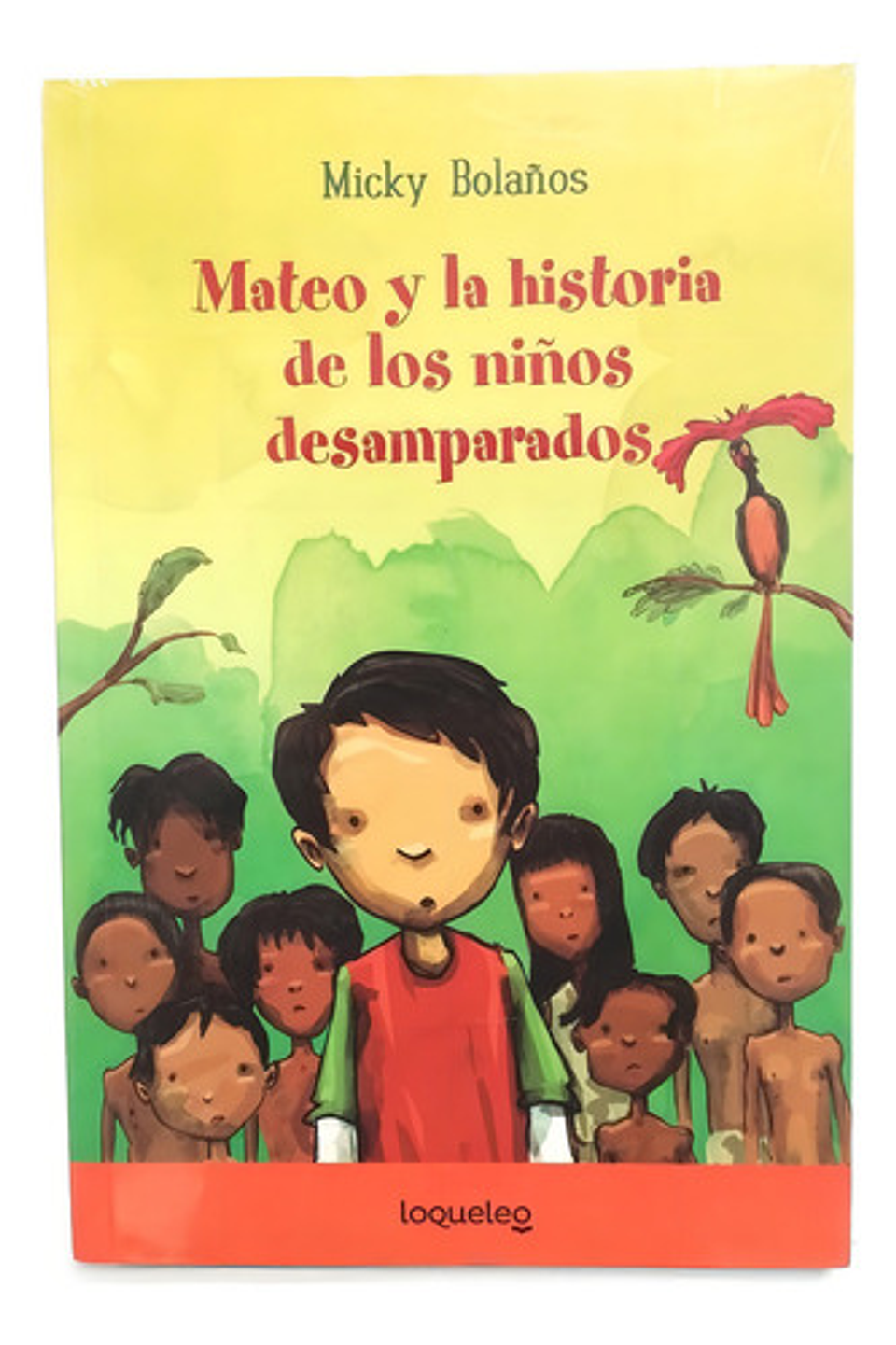 Mateo Y La Historia De Los Niños Desamparados -micky Bolaños 1