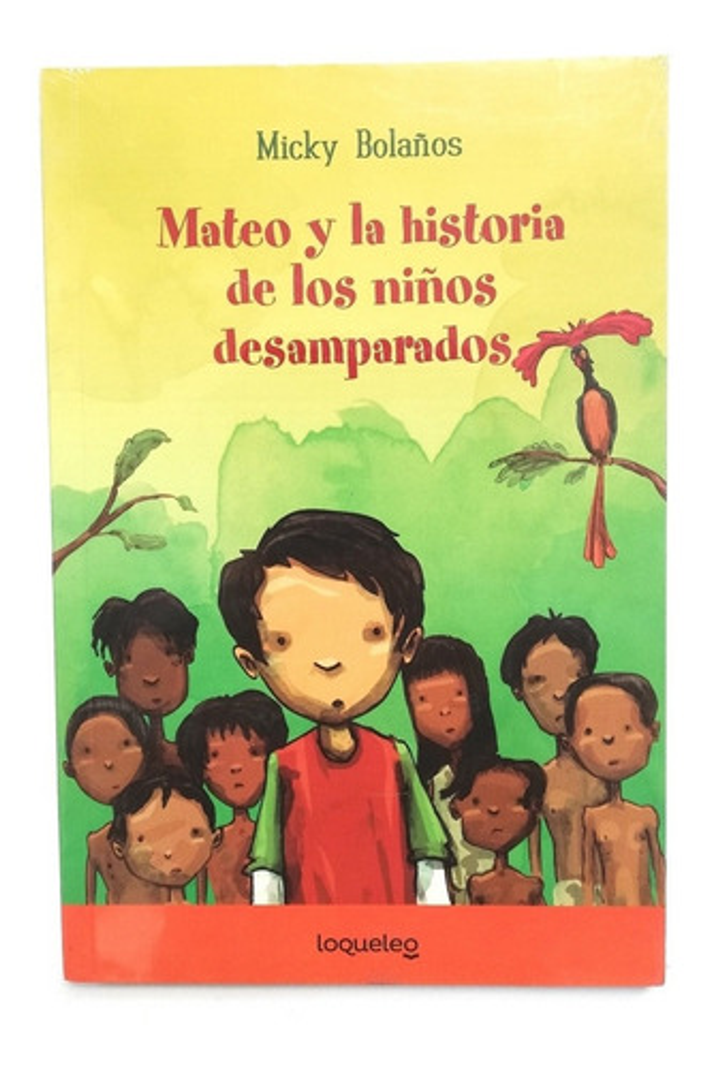Mateo Y La Historia De Los Niños Desamparados -micky Bolaños 1