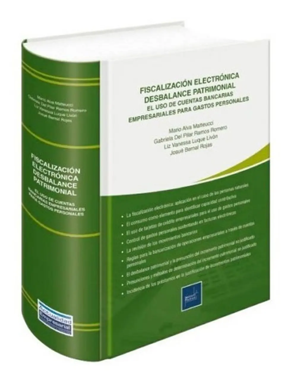 Fiscalización Electrónica Desbalance Patrimonial 1