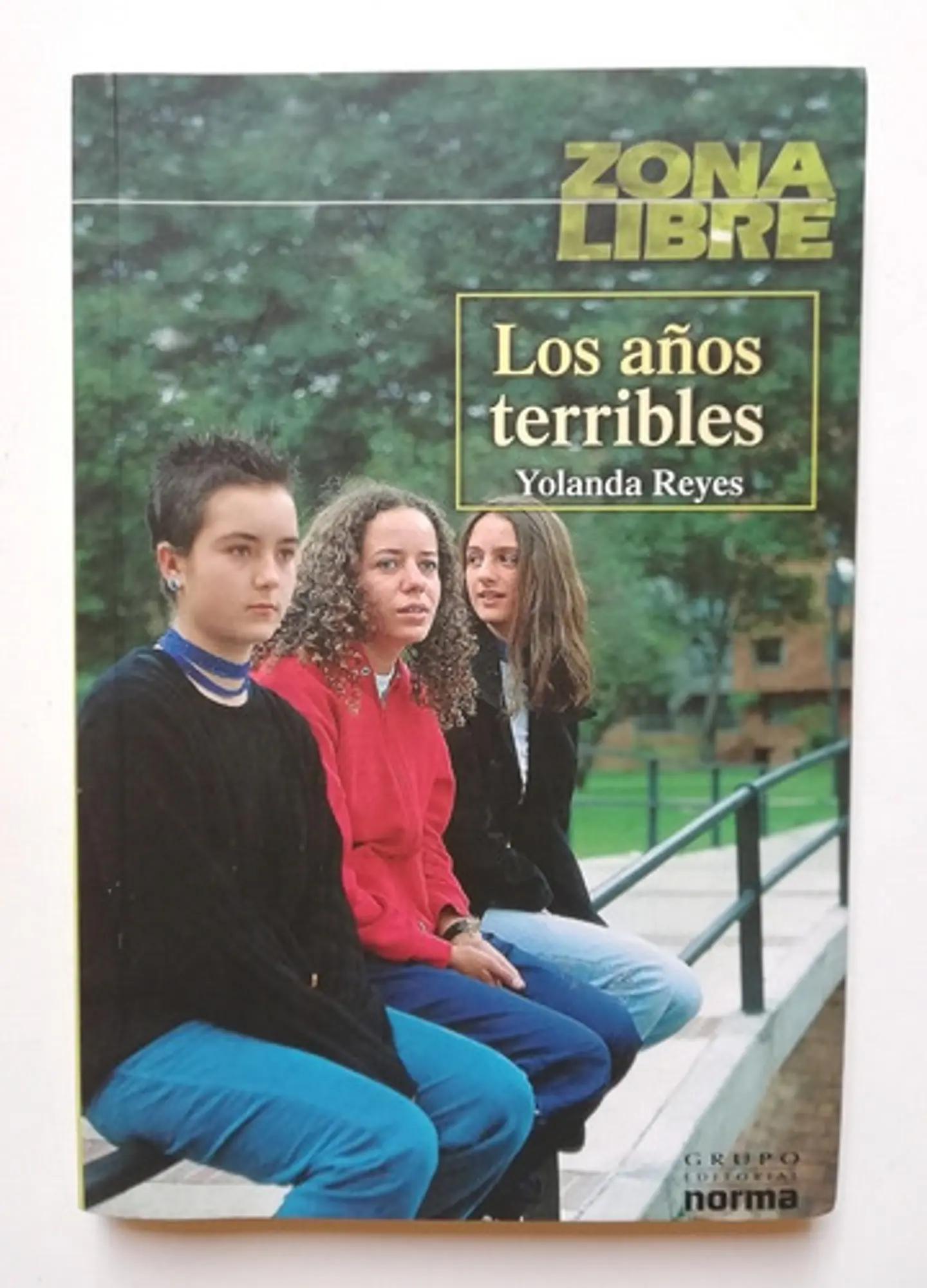 Los Años Terribles - Yolanda Reyes  1