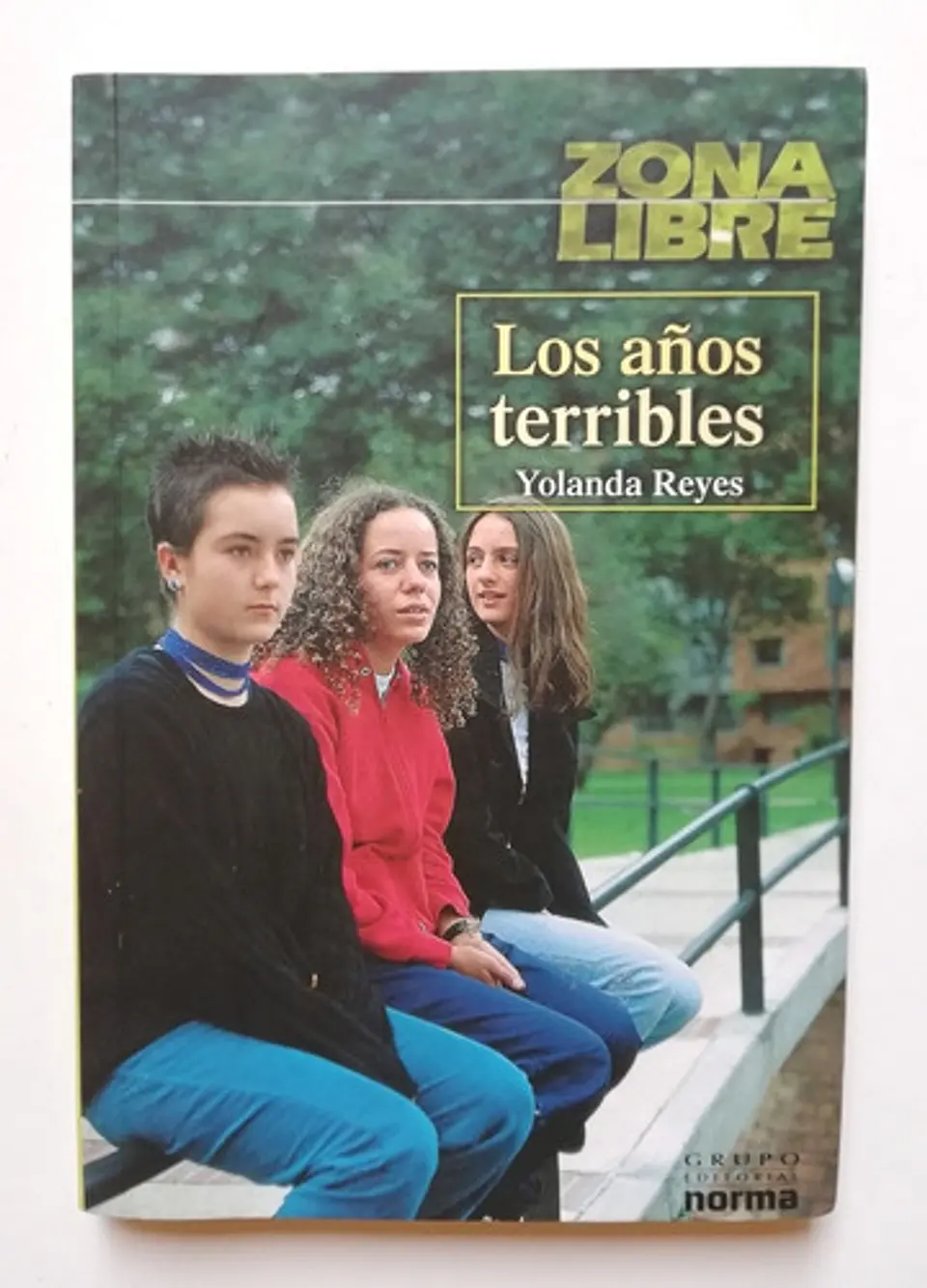 Los Años Terribles - Yolanda Reyes  1