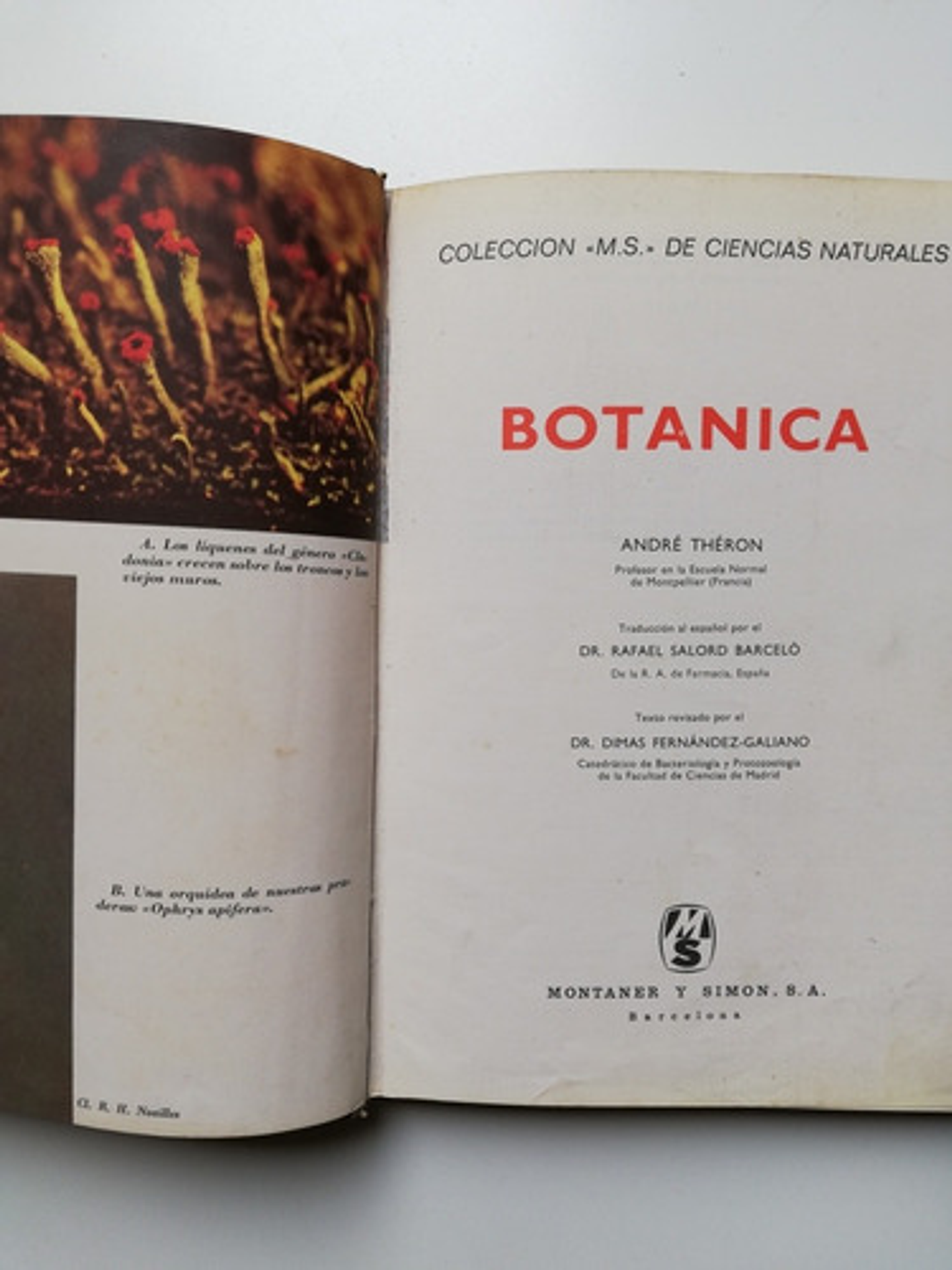 Botánica - André Theron - Tapa Dura 2