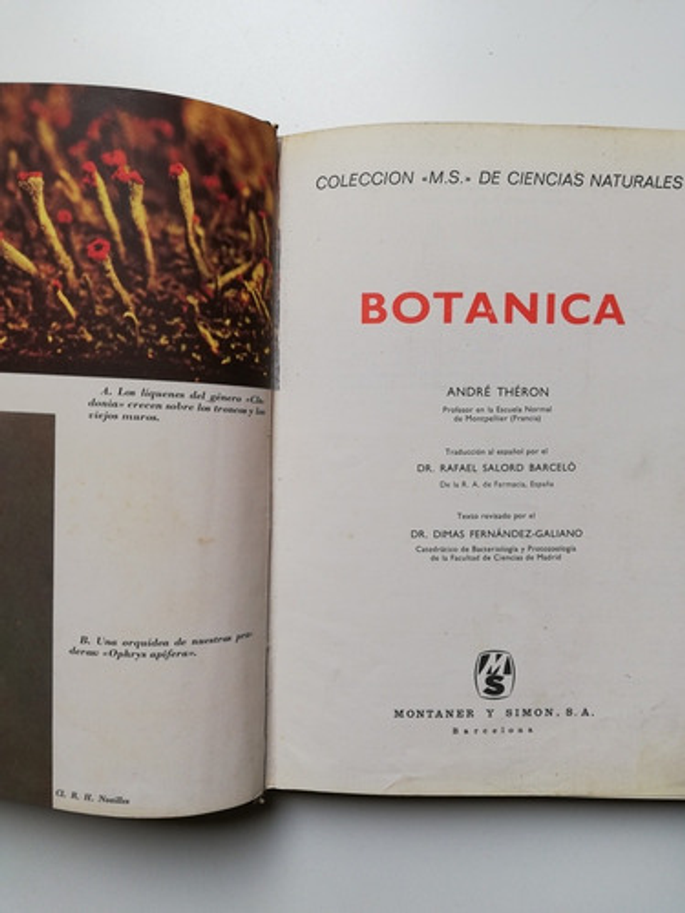 Botánica - André Theron - Tapa Dura 2