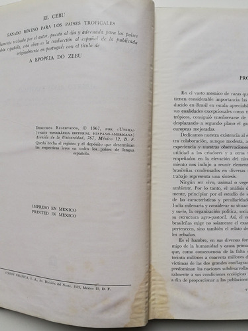 El Cebu - Alberto Alves Santiago - Tapa Dura  2