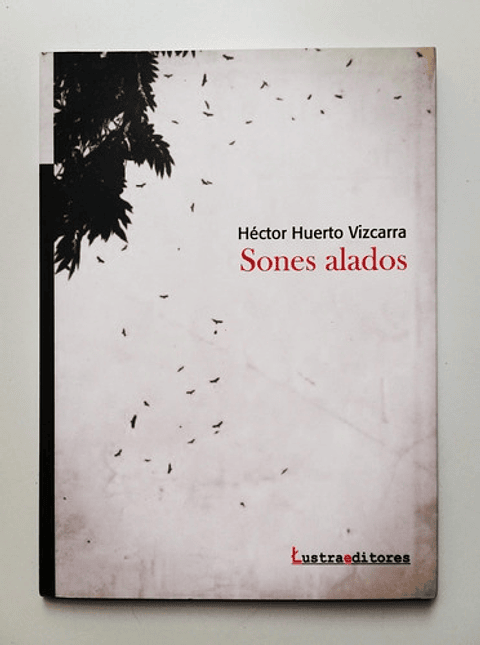 Sones Alados - Héctor Huerto Vizcarra 