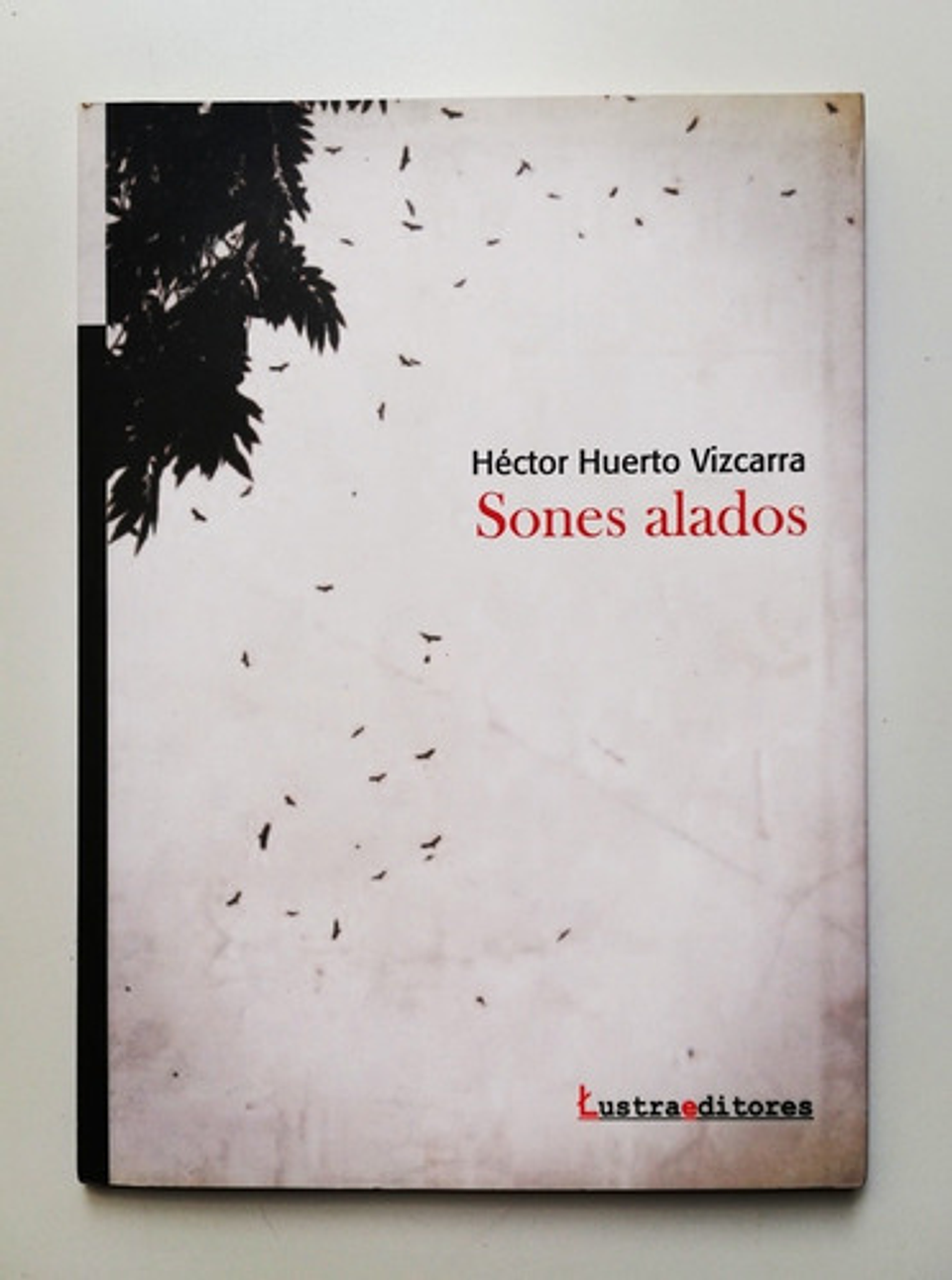 Sones Alados - Héctor Huerto Vizcarra  1