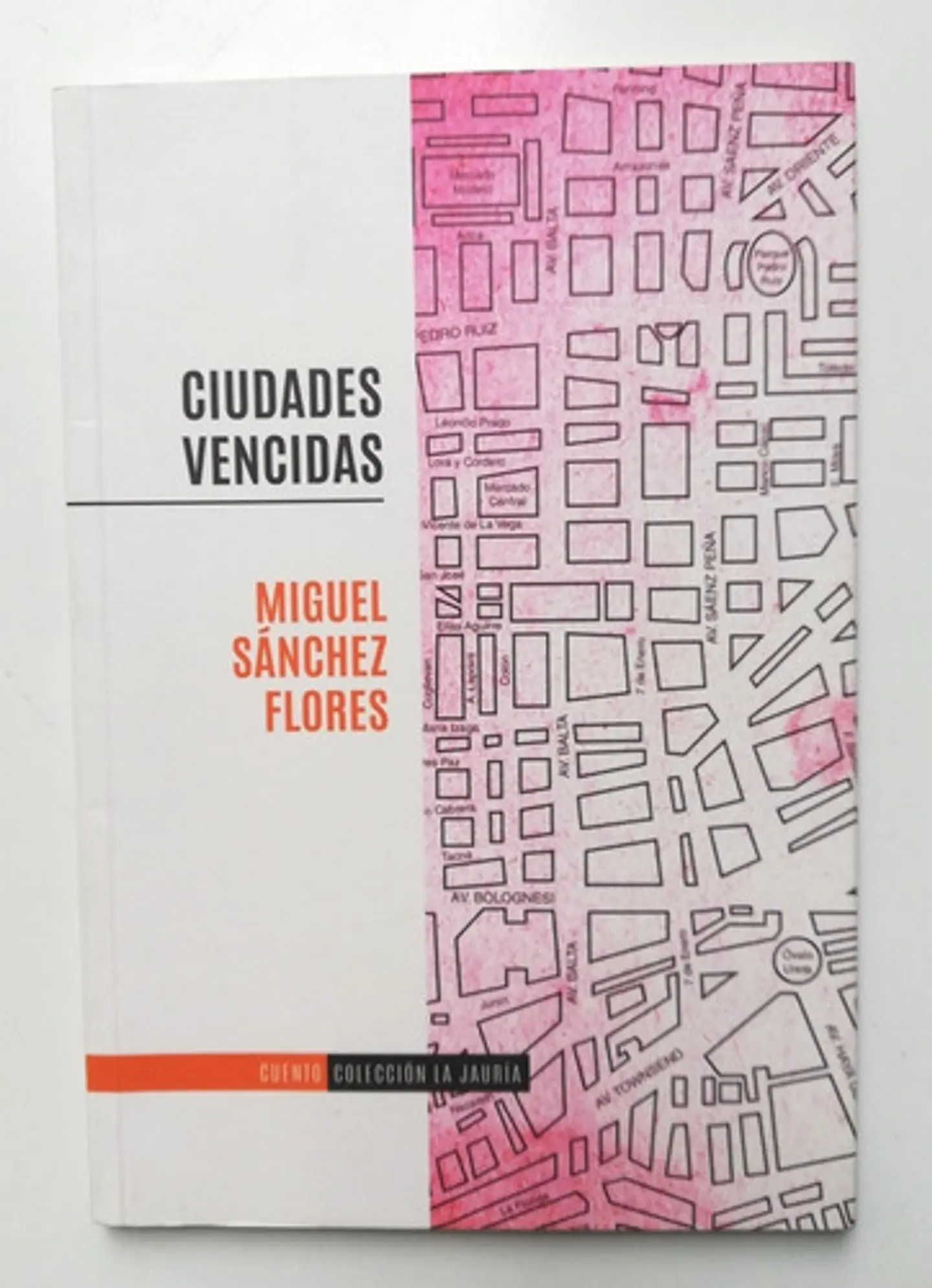 Ciudades Vencidas - Miguel Sánchez Flores 1