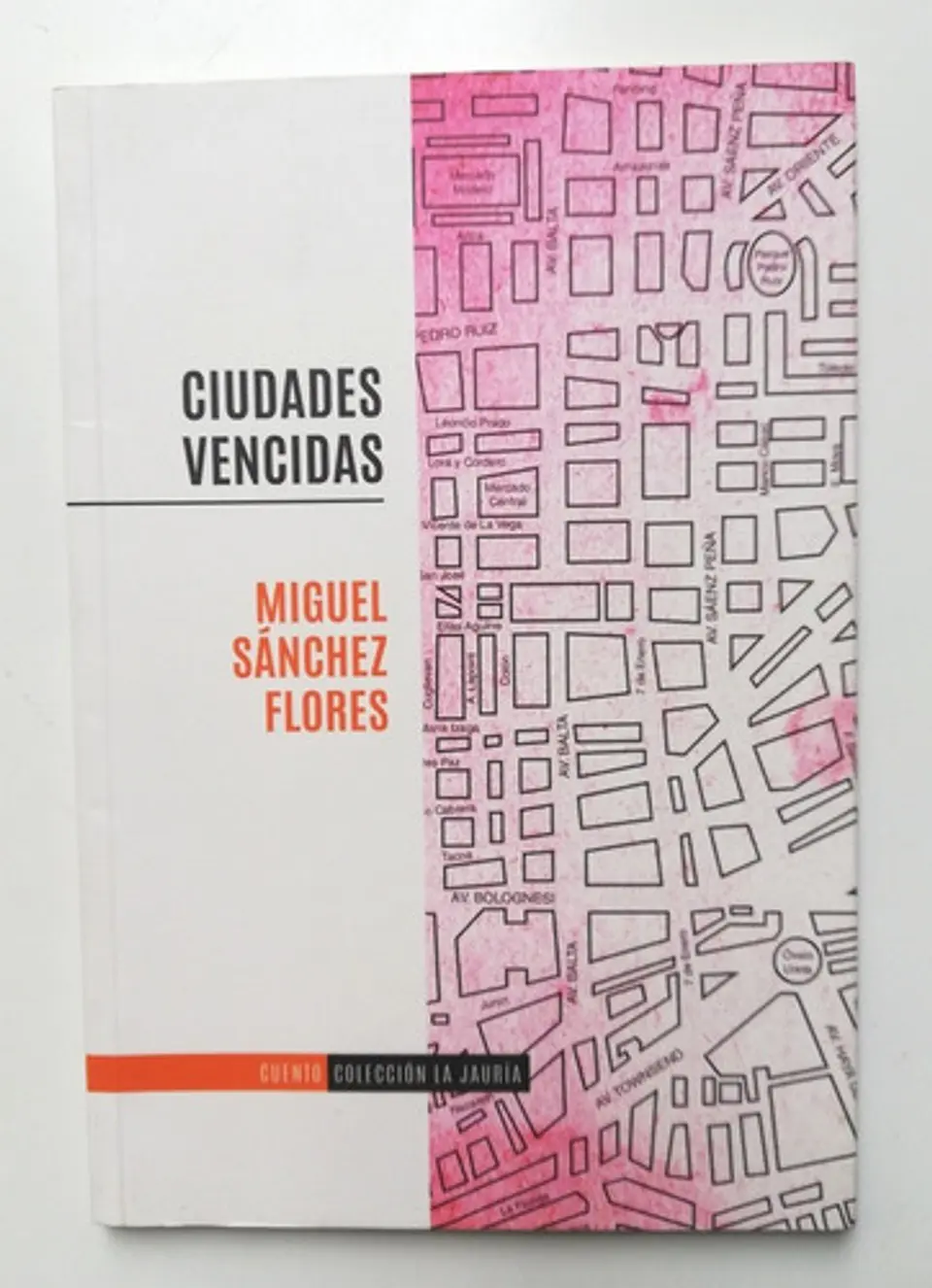Ciudades Vencidas - Miguel Sánchez Flores 1