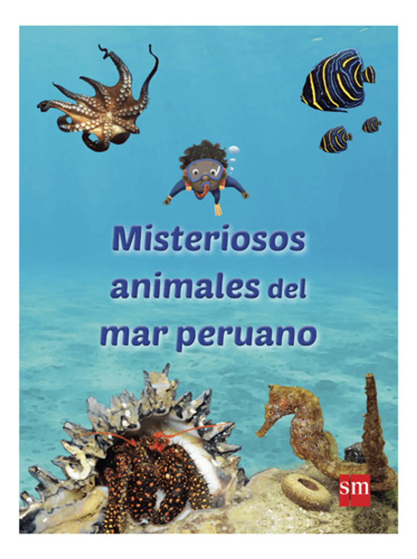 Misteriosos Animales Del Mar Peruano - Yuri Hooker 1