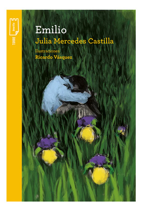 Libro Emilio, De Castilla, Julia Mercedes. Editorial Norma, Tapa Blanda