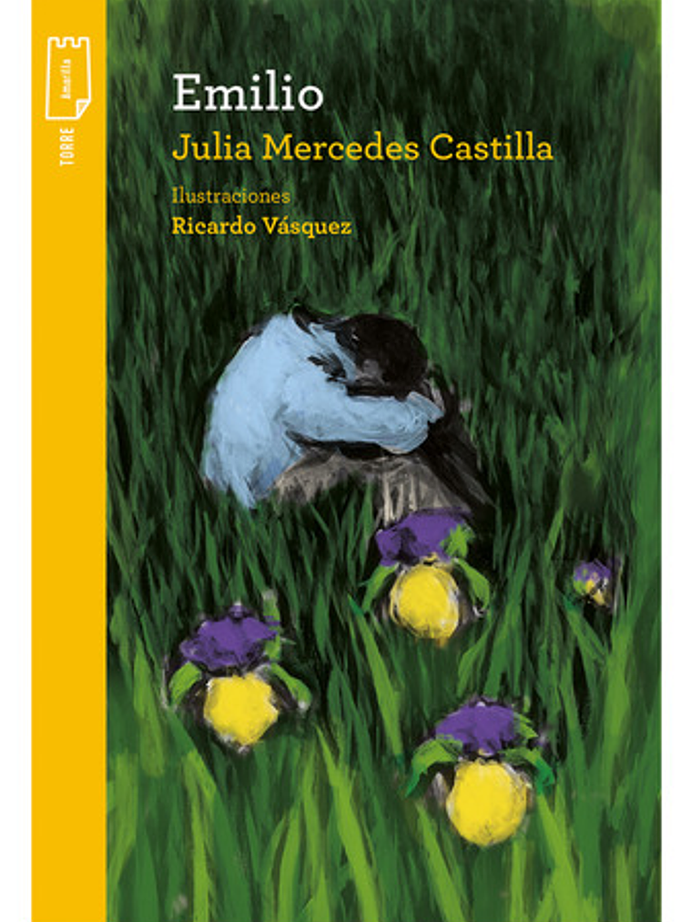 Libro Emilio, De Castilla, Julia Mercedes. Editorial Norma, Tapa Blanda 1