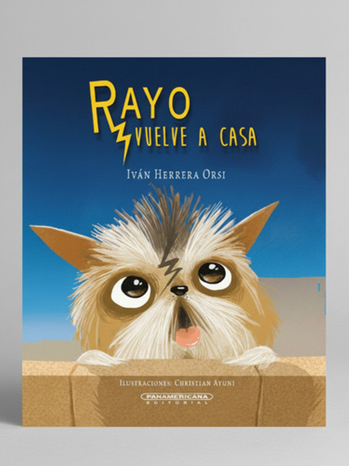 Rayo Vuelve A Casa - Iván Herrera Orsi, Panamericana 1