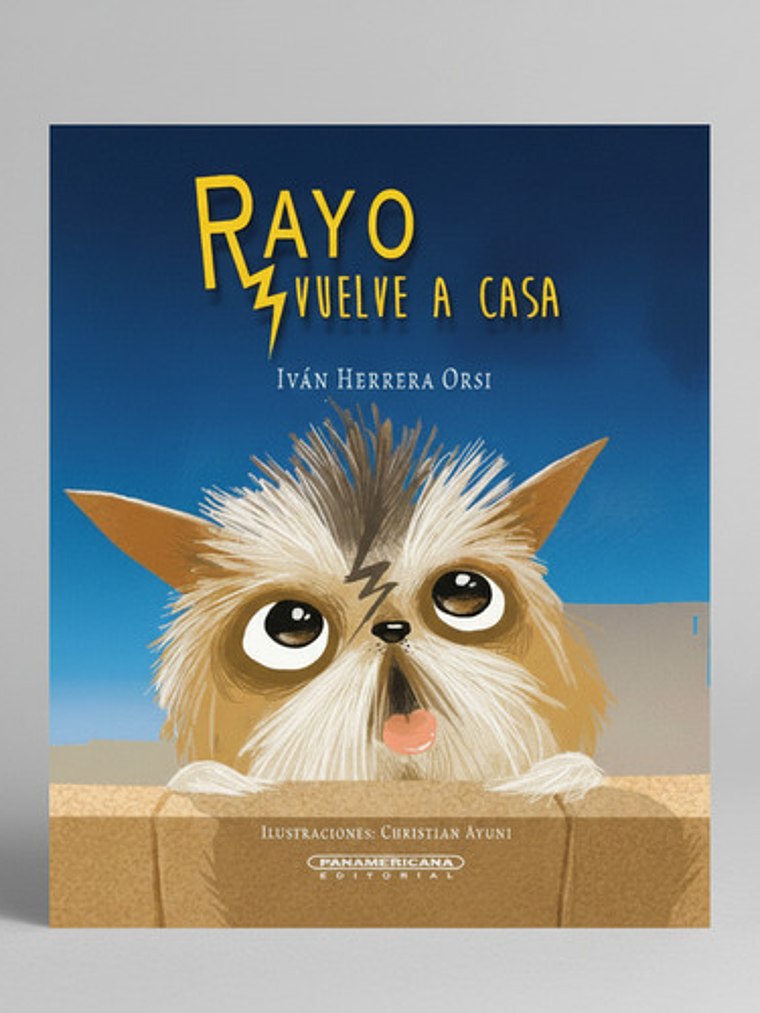 Rayo Vuelve A Casa - Iván Herrera Orsi, Panamericana 1