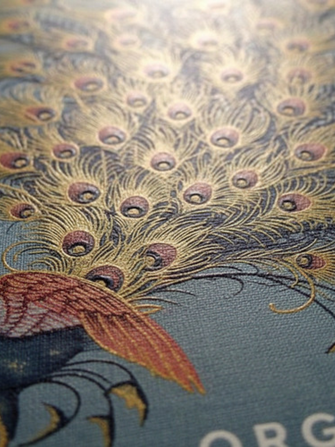 Orgullo Y Prejuicio - Jane Austen - Edición Rba Tapa Dura 3