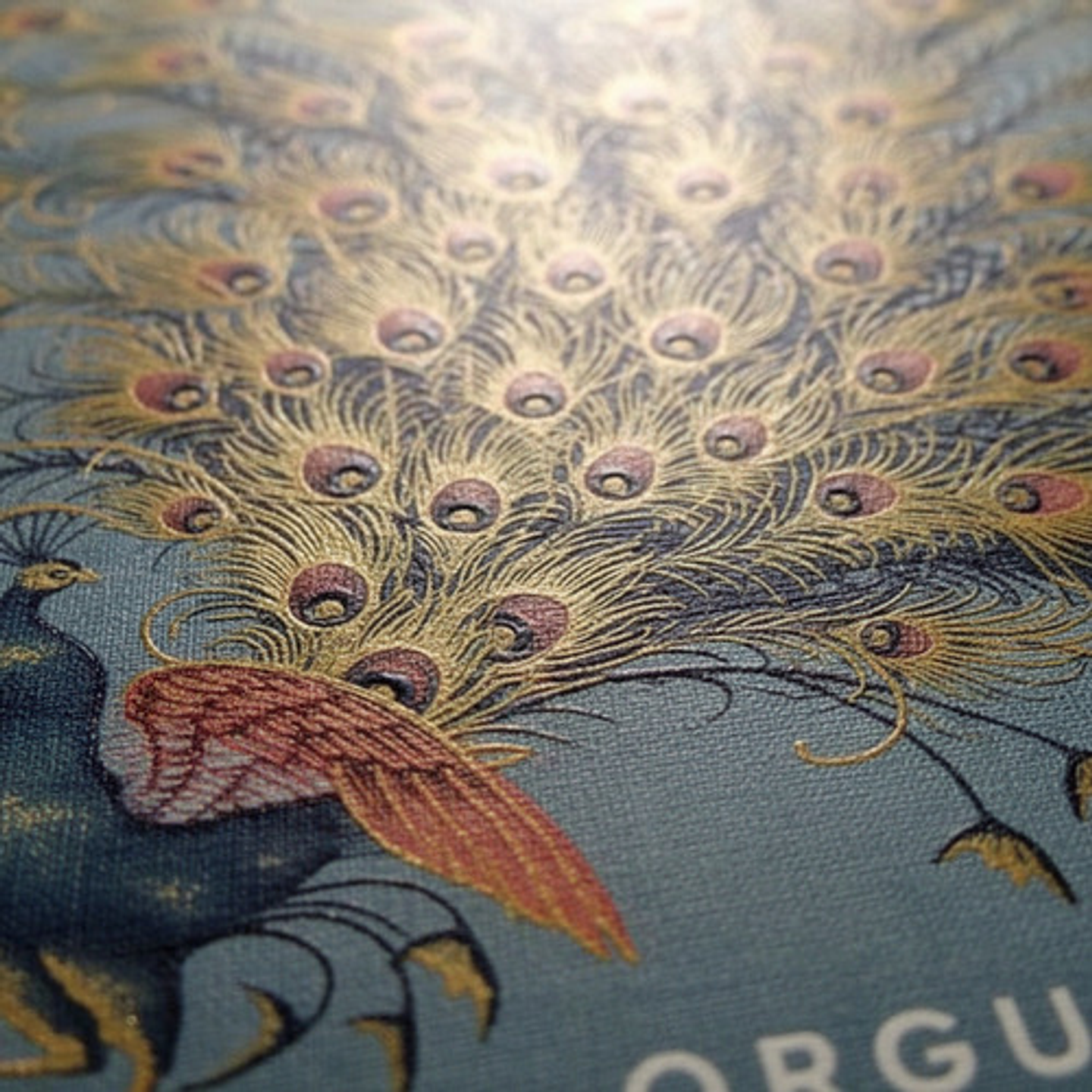 Orgullo Y Prejuicio - Jane Austen - Edición Rba Tapa Dura 3