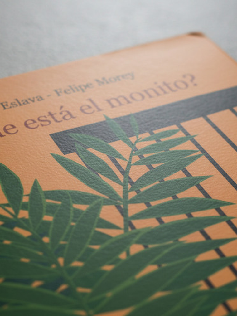 ¿dónde Está El Monito? - Jorge Eslava, Panamericana 4