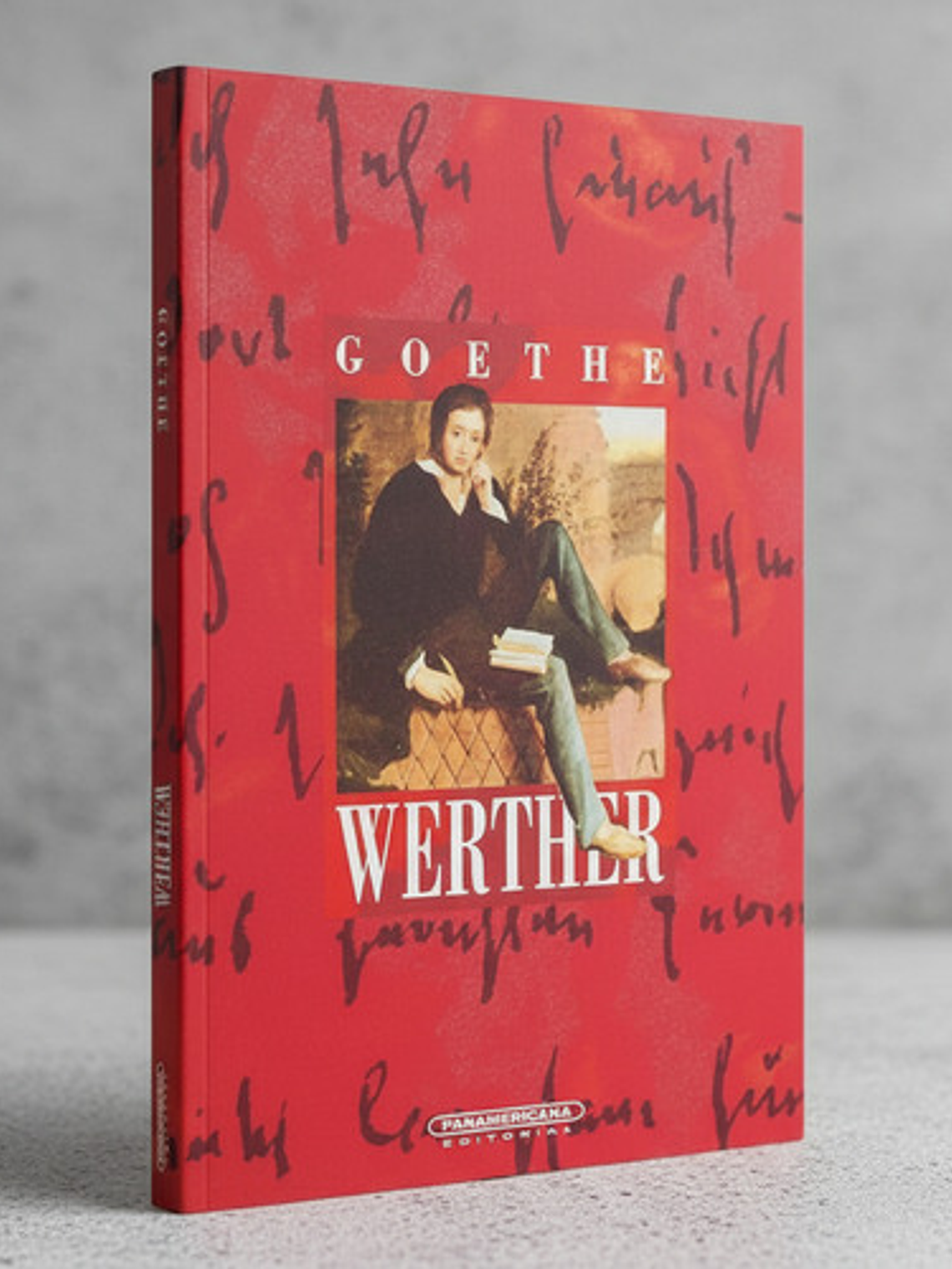 Libro Werther, De Johann W. Goethe. Editorial Panamericana, Tapa Blanda 2