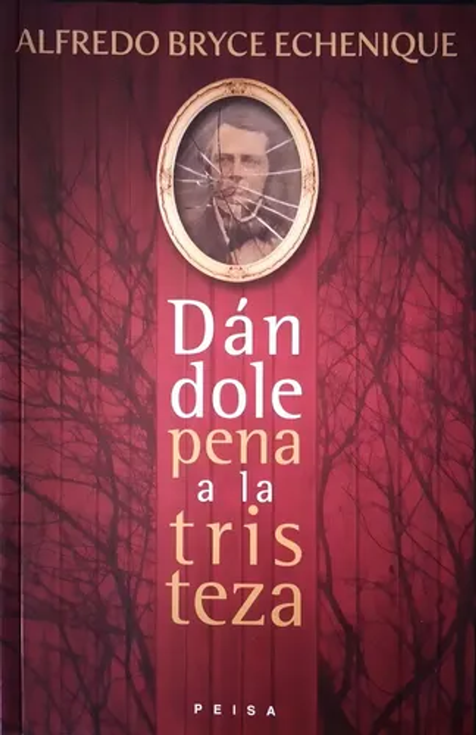 Dandole Pena A La Tristeza, De Bryce Echenique, Alfredo. N/a, Vol. Volumen Unico. Editorial Peisa, Edición 1 En Español, 2015 1