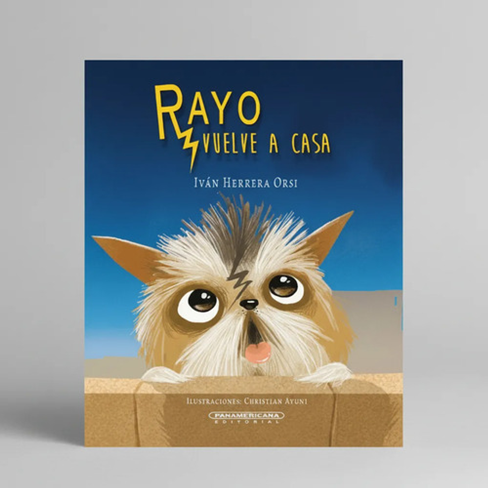 Rayo Vuelve A Casa 1