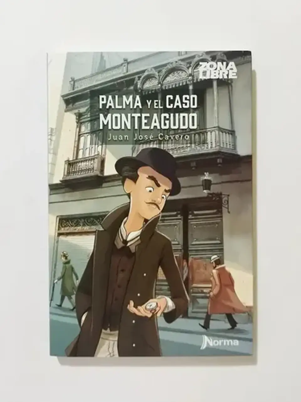 Palma Y El Caso Monteagudo 1