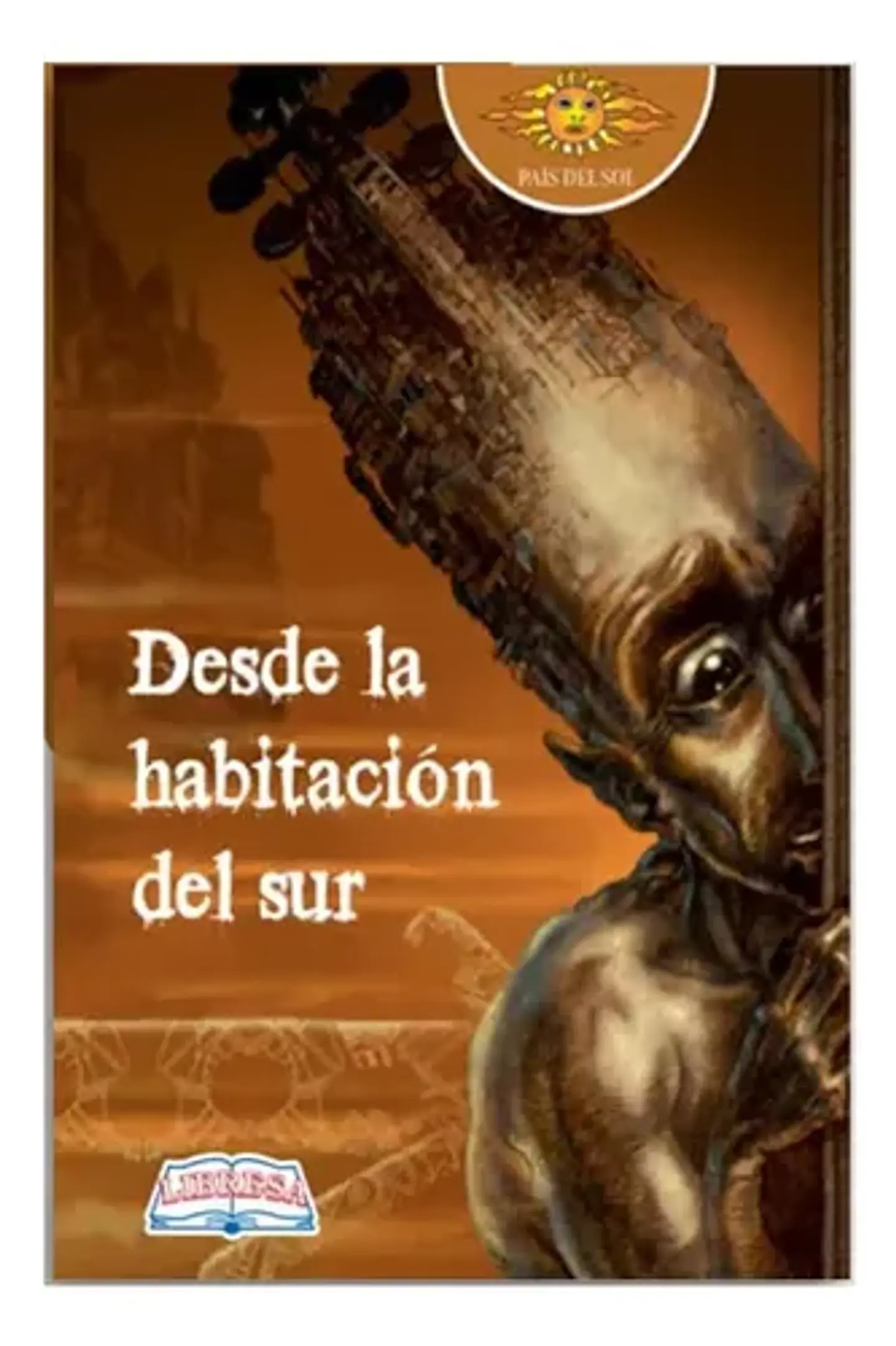 Desde La Habitación Del Sur - E. J. Decarli, Libresa 1