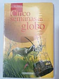 Cinco Semanas En Globo - Julio Verne, Panamericana - Miniatura 1