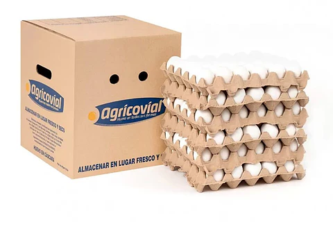 Huevo Primera Blanco (54 a 60,9 g) - Caja de 180 unidades
