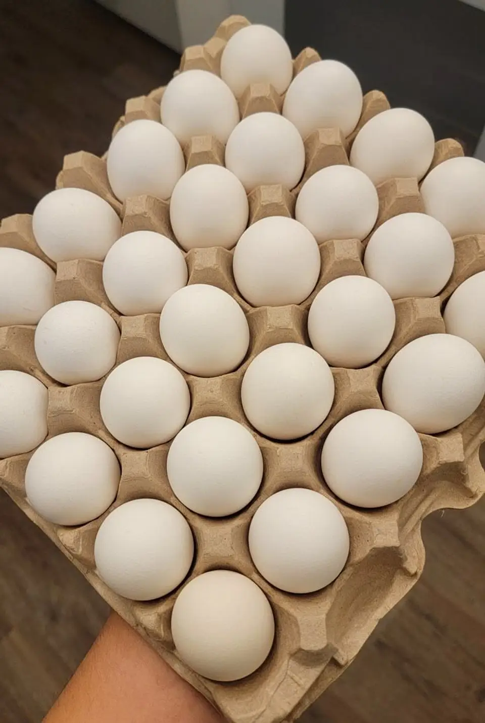 Huevo Super Blanco (68 a 73,9 g) Bandeja 30 unidades 1