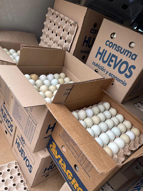 Huevo Extra Campo (61 a 67,9 g) Caja 180 unidades 