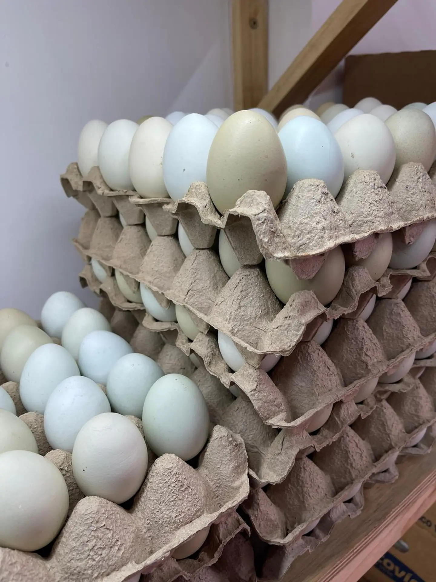 Huevo Primera Campo (54 a 60,9 g) Caja 180 unidades  1